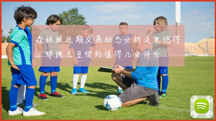 森林狼近期交易动态分析走里德得三球换兰豆续约值得几分评价